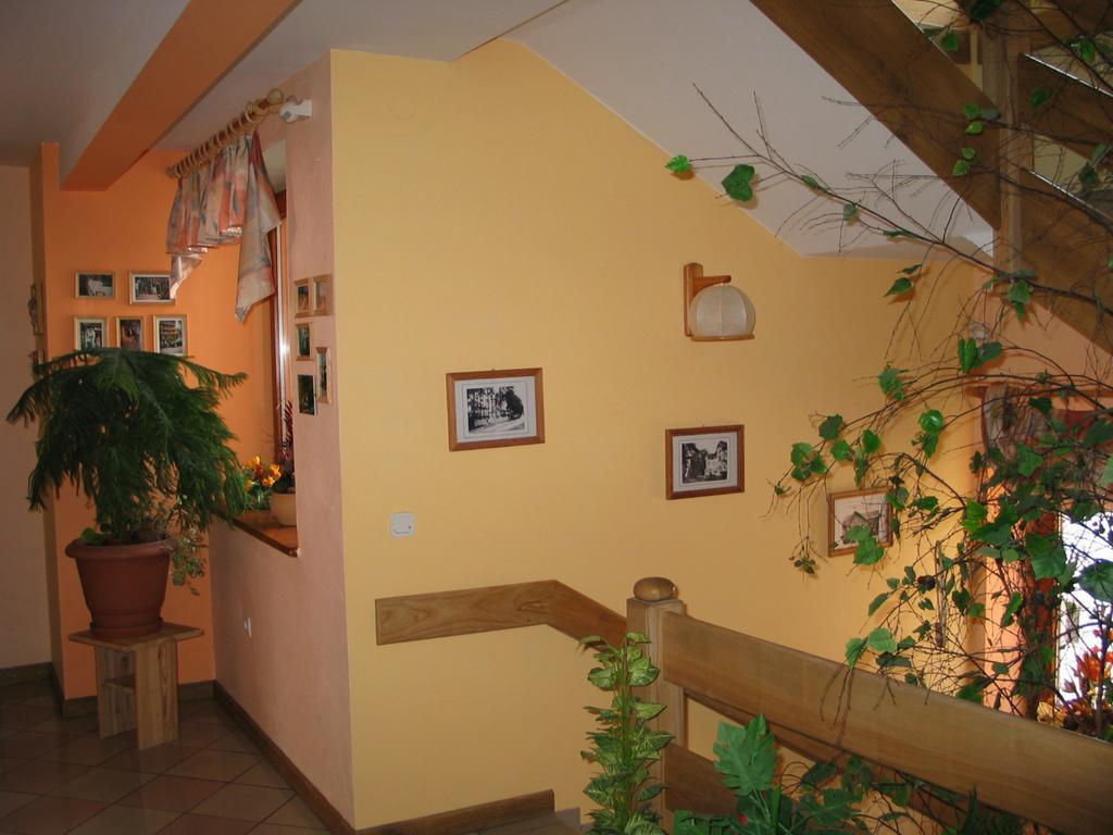 Pensjonat Lotos Krynica Morska Buitenkant foto